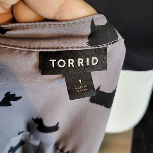 Curvy Torrid 1 Blouse